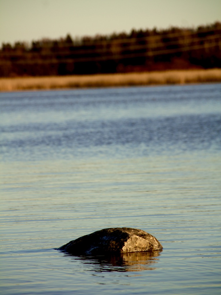 Lake in Helsinki by Artur Perrella Glukhovskyy